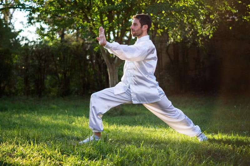 Yang Style Tai Chi